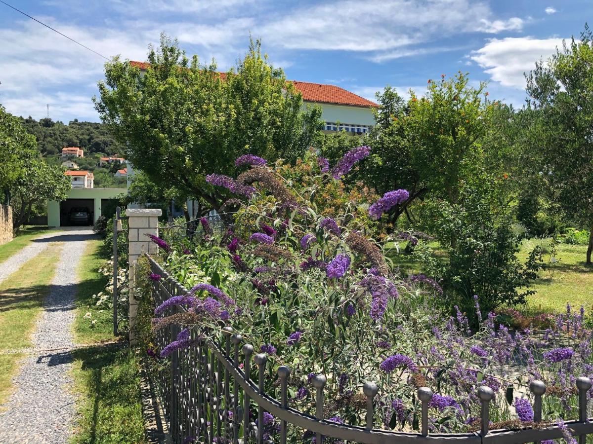 Apartments Muntidor Palit Εξωτερικό φωτογραφία